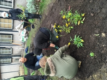 Young people digging and planting