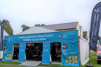 Royal welsh Stand 2023