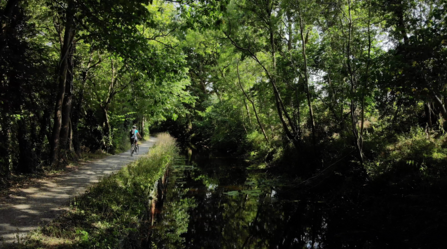 Its natural beauty and the flat, easy terrain of the towpath makes The Monty popular amongst walkers and cyclists; these activities are very low impact 