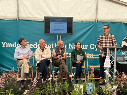 Resourcing Nature Talk - Royal Welsh 2023 ©Wildlife Trusts Wales