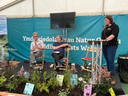 Jenny Wilder Marches - Royal Welsh 2023 ©Wildlife Trusts Wales