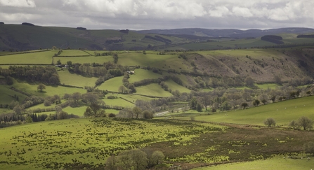 View over agricultural upland landscape, Cambrian mountains, Wales. - Peter Cairns/2020VISION