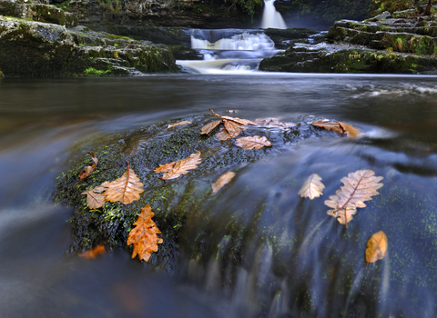 Waterfall and river with leaves floating