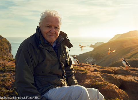 David Attenborough on Skomer credit Alex Board