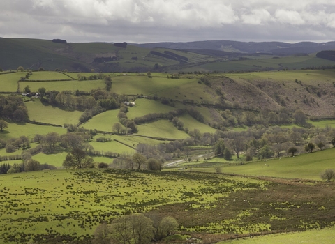 View over agricultural upland landscape on edge of Pumlumon Living Landscape project, Cambrian mountains, Wales.