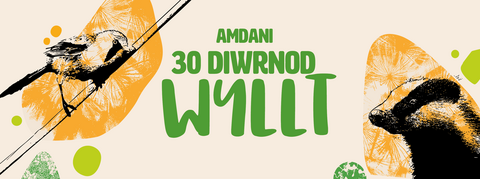 Amdani 30 Diwrnod Wyllt