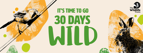30 Days Wild 2025 header - The Wildlife Trusts