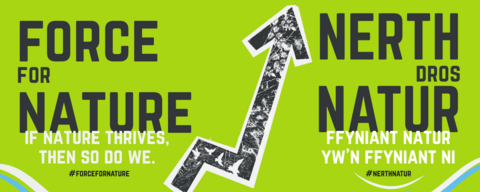Force for nature: If nature thrives so do we. Nerth Natur: Ffyniant nature yw'n ffyniant ni
