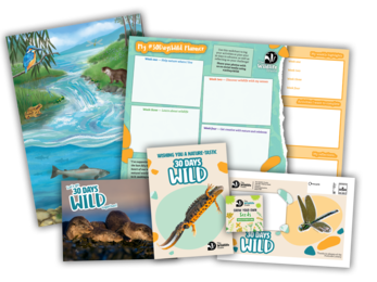Mock up of the 30 Days Wild 2026 pack for adults, including a poster, planner sheet, postcard and seed packet