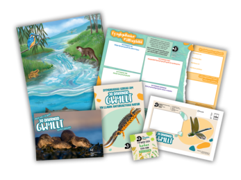 A mock up of the Welsh translated 30 Days Wild 2026 pack for adults, including poster, planning sheet, postcard and seed packet