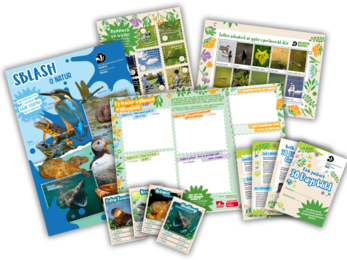 A mock up of the Welsh translated 30 Days Wild 2026 pack for kids, including a poster, spotting sheets, trading cards and planner sheet
