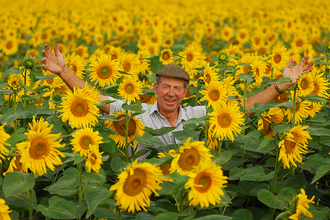 Nicholas stands in a field of sunflowers