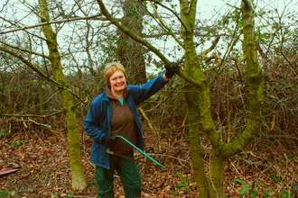 Anne with a saw in the woods 