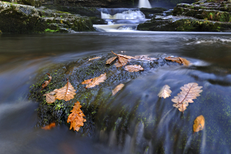 Waterfall and river with leaves floating
