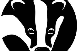 Wildlife Trusts badger