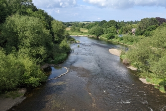 River Wye © Friends of Upper Wye