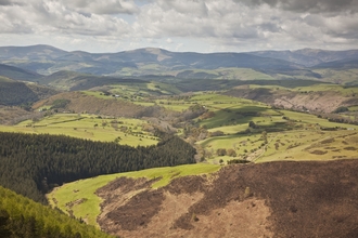 Cambrian mountains