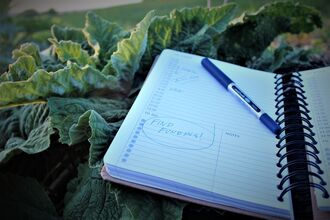 Notebook lying on top of vegetable garden
