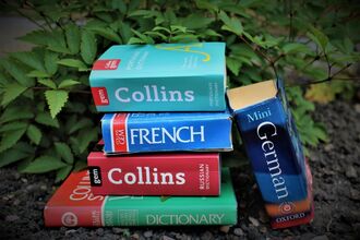 A pile of dictionaries with leaves in the background