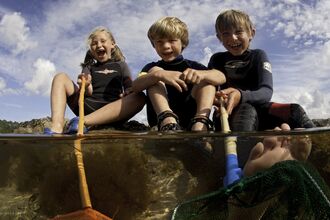 Children rockpooling