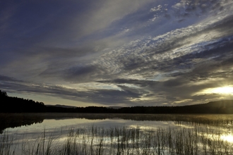 Loch Garten at sunrise, Abernethy National Nature Reserve, Cairngorms National Park, Scotland, UK