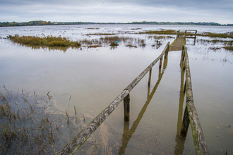 Grassland which is completely underwater except for the remnants of a bridge