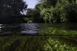 River, underwater split level view