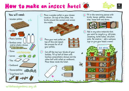 insect hotel