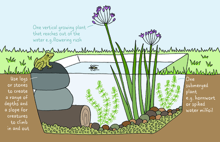 finished pond
