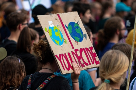 Climate strike