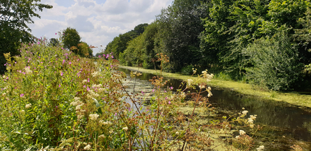 Montgomery Canal 