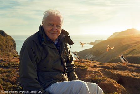 David Attenborough on Skomer credit Alex Board