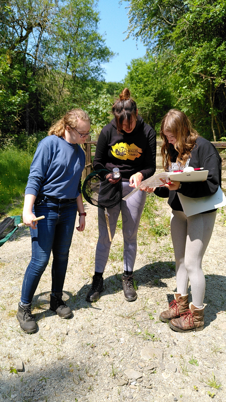 Trainees surveying on Stand for Nature Wales