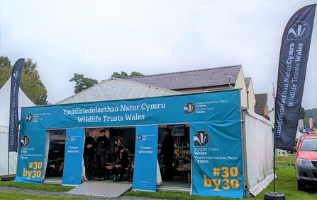 Royal welsh Stand 2023