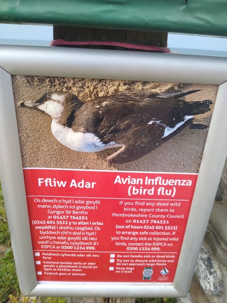 Bird Flu sign in Sir Benfro © Tim Birch