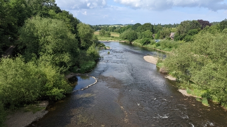 River Wye © Friends of Upper Wye