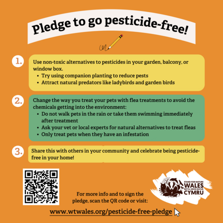 Stand for Nature Wales pesticide pledges