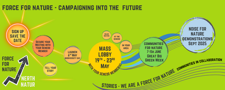 A campaign pathway for Force for Nature. The pathway is signing up, securing a meeting with your Senedd member, mass lobby is 19th-23rd May with Senedd members. Communities for nature is 7-15th June and Noise for Nature demonstrations are September 2025