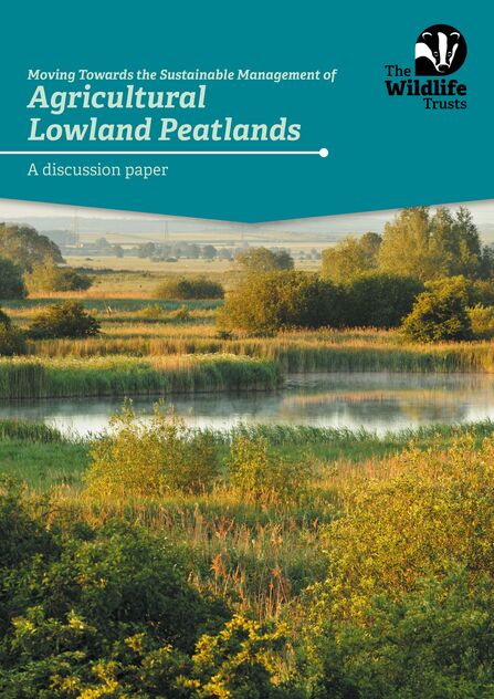 A peatland with farmland shown behind it, dotted with trees and hedges. Text reads Moving towards the sustainable management of agricultural lowland peatlands front cover: a discussion paper