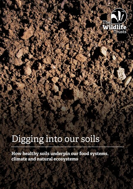 Soil, with 'Digging into our soils: how healthy soils underpin our food systems, climate and natural ecosystems' written