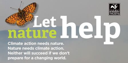 Let Nature Help COP edition report front cover