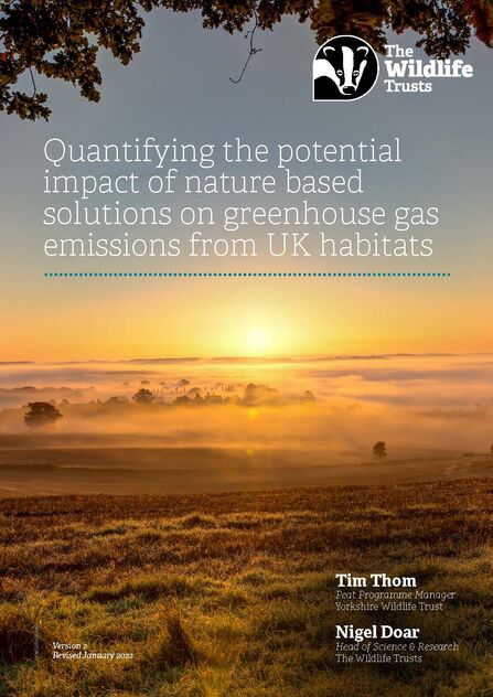 Sunrise over farmland, with mist covering the trees and fields in the background