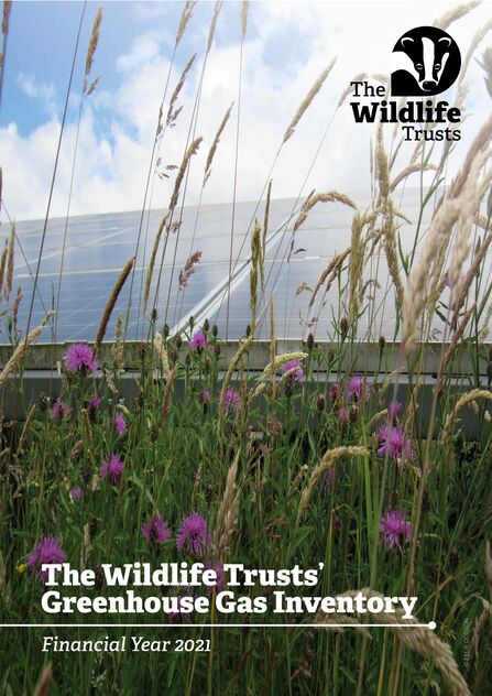 A close up of solar panels on a field of grass and common knapweed. Text reads The Wildlife Trusts' Greenhouse Gas Inventory Financial Year 2021