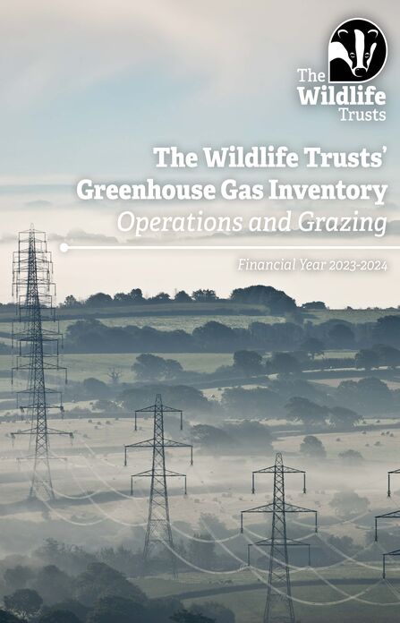 Power lines across fields lined with hedges and trees. Text reads The Wildlife Trusts' Greenhouse Gas Inventory: Operations and Grazing. Financial year 2023-24