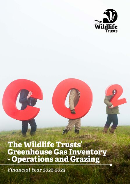 Three people walking on a mist-covered field carrying a C, an O and a 2. Text reads The Wildlife Trusts' Greenhouse Gas Inventory - Operations and Grazing. Financial year 2022-2023