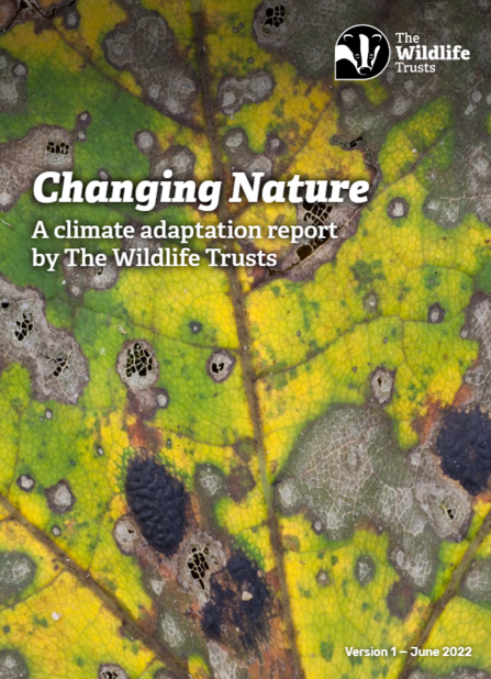 Changing Nature cover with leaf
