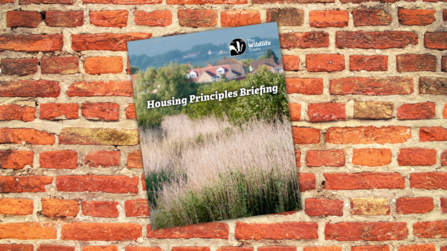 Housing principles briefing
