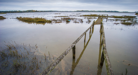 Grassland which is completely underwater except for the remnants of a bridge