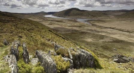 View over upland landscape of Pumlumon Living Landscape project, Cambrian mountains, Wales. -