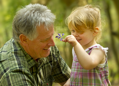 A smiling toddler holds up a flower to her grandfather